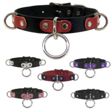 Collar With Halter And D Rings Collar With Halter And D Rings