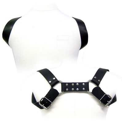 Holster Harness