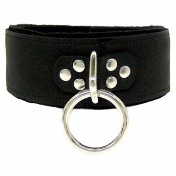 Neoprene Padded Black Leather Collar