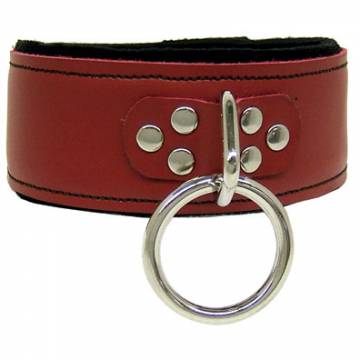 Neoprene Padded Red Leather Collar