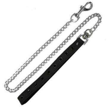 Eyelet Studded Chain Leash