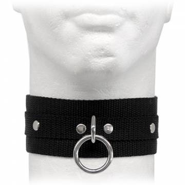 Black Webbing Collar With Halter Ring