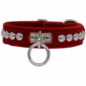 Velvet Collar With Round Studs