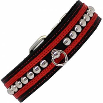 Collar With Post Ring And Studs