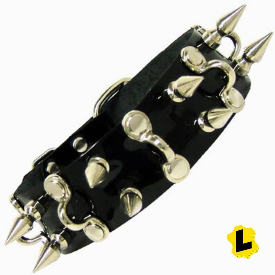 Collar With D Hooks And Spikes