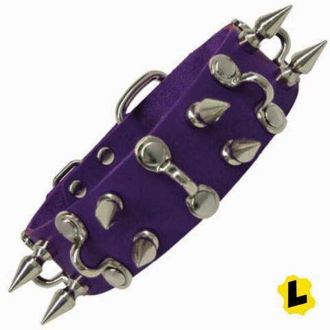 Collar With D Hooks And Spikes