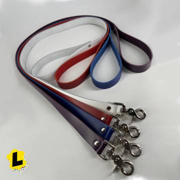 All Leather Leash