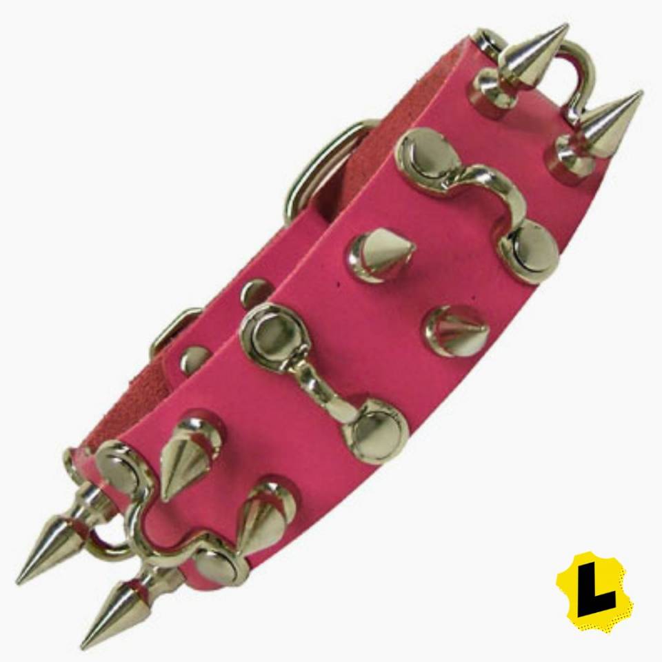 Collar With D Hooks And Spikes