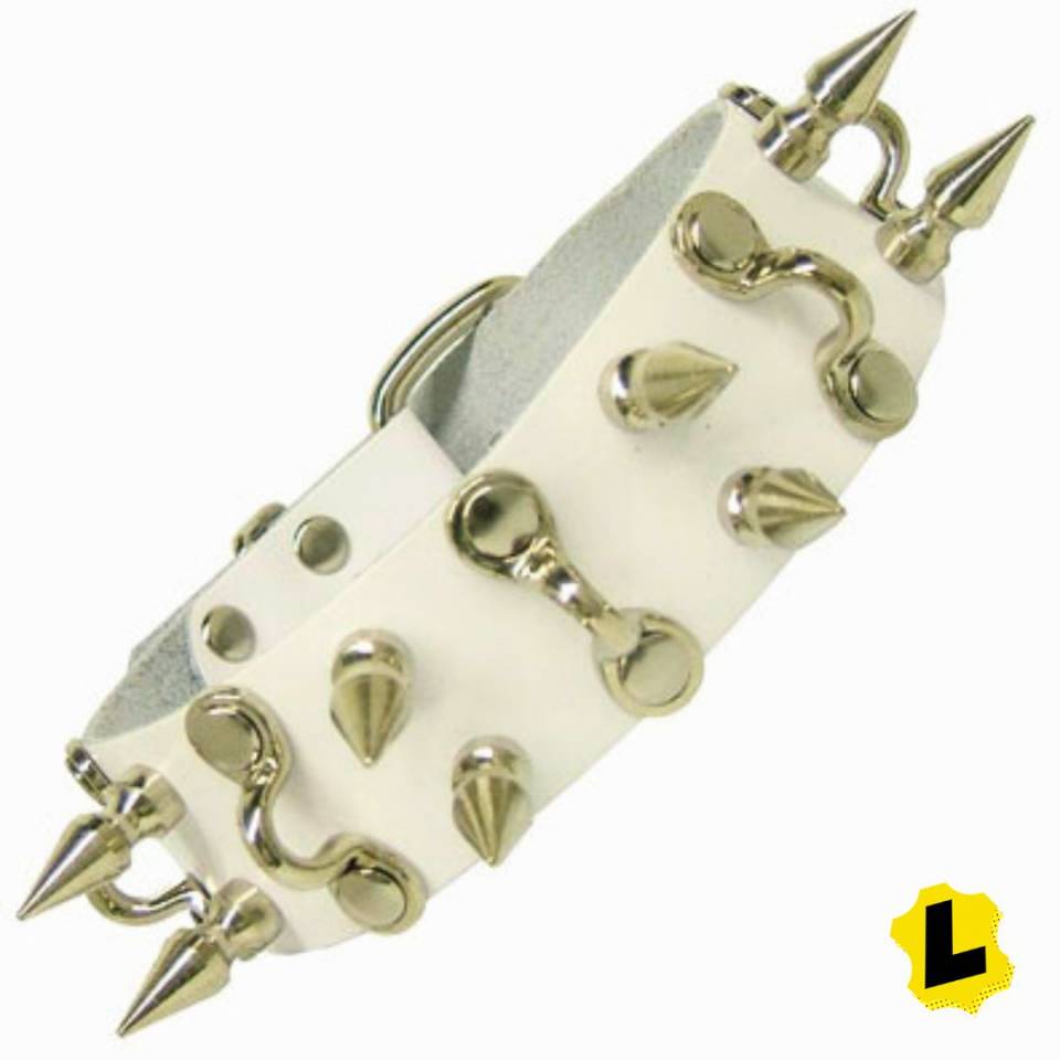 Collar With D Hooks And Spikes
