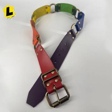 Rainbow Pride Four Ring Belt