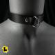 Thin Collar With D-Ring