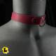 Thin Collar With D-Ring