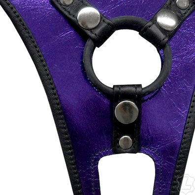 Double Pleasure Strap On