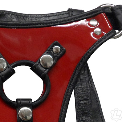 Double Pleasure Strap On
