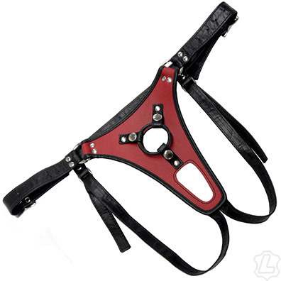 Double Pleasure Strap On