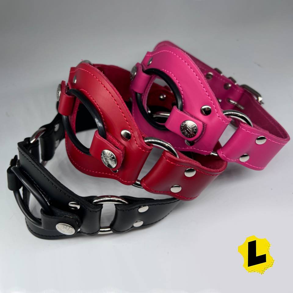 Dildo Mouth Harness