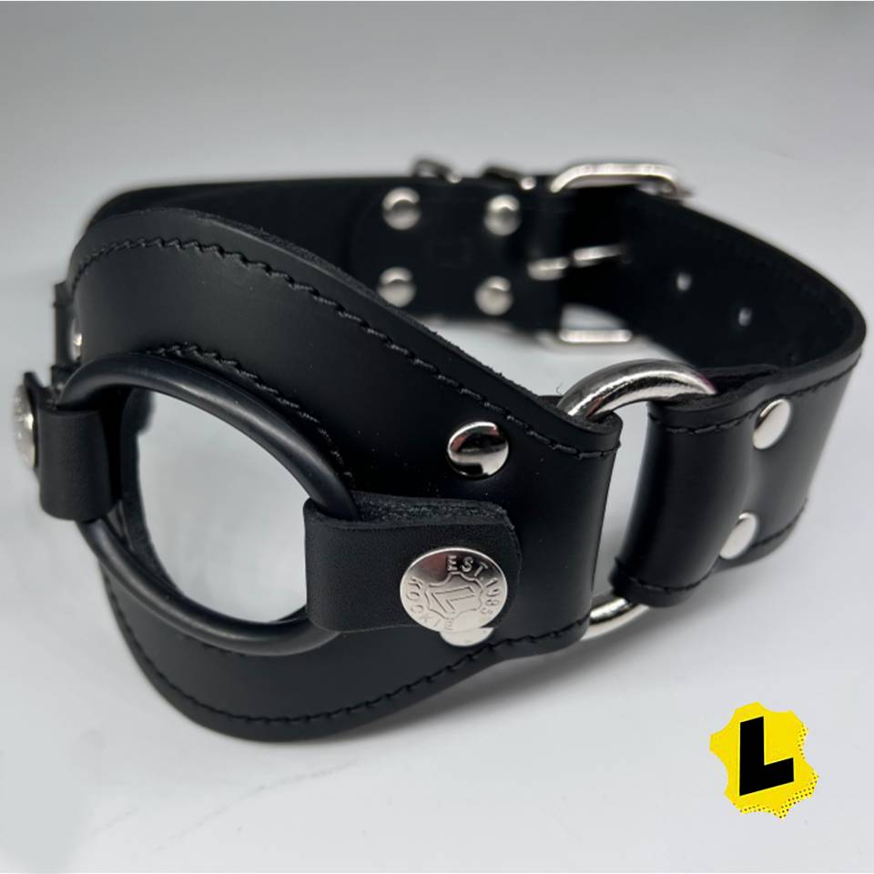 Dildo Mouth Harness