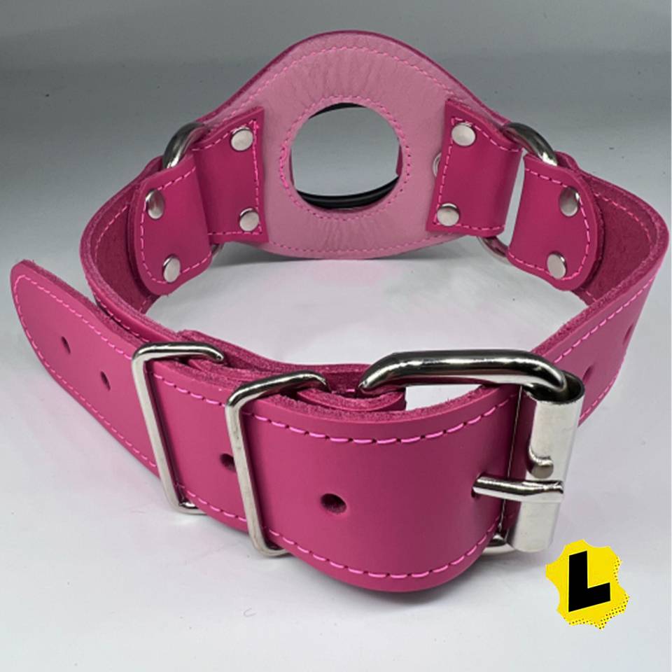Dildo Mouth Harness