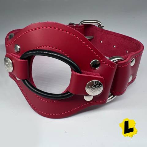 Dildo Mouth Harness