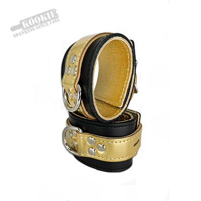 Lockable Restraints
