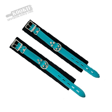 Lockable Restraints