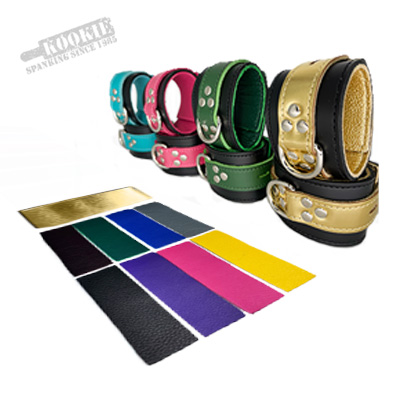 Lockable Restraints