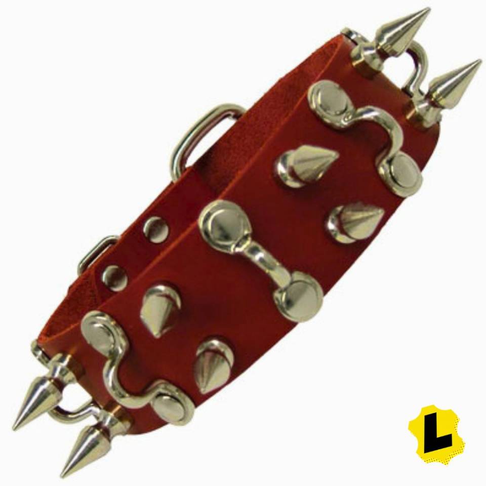 Collar With D Hooks And Spikes