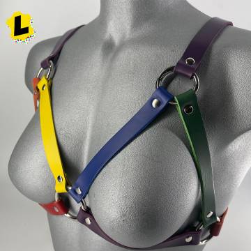 Rainbow Leather Bra Harness