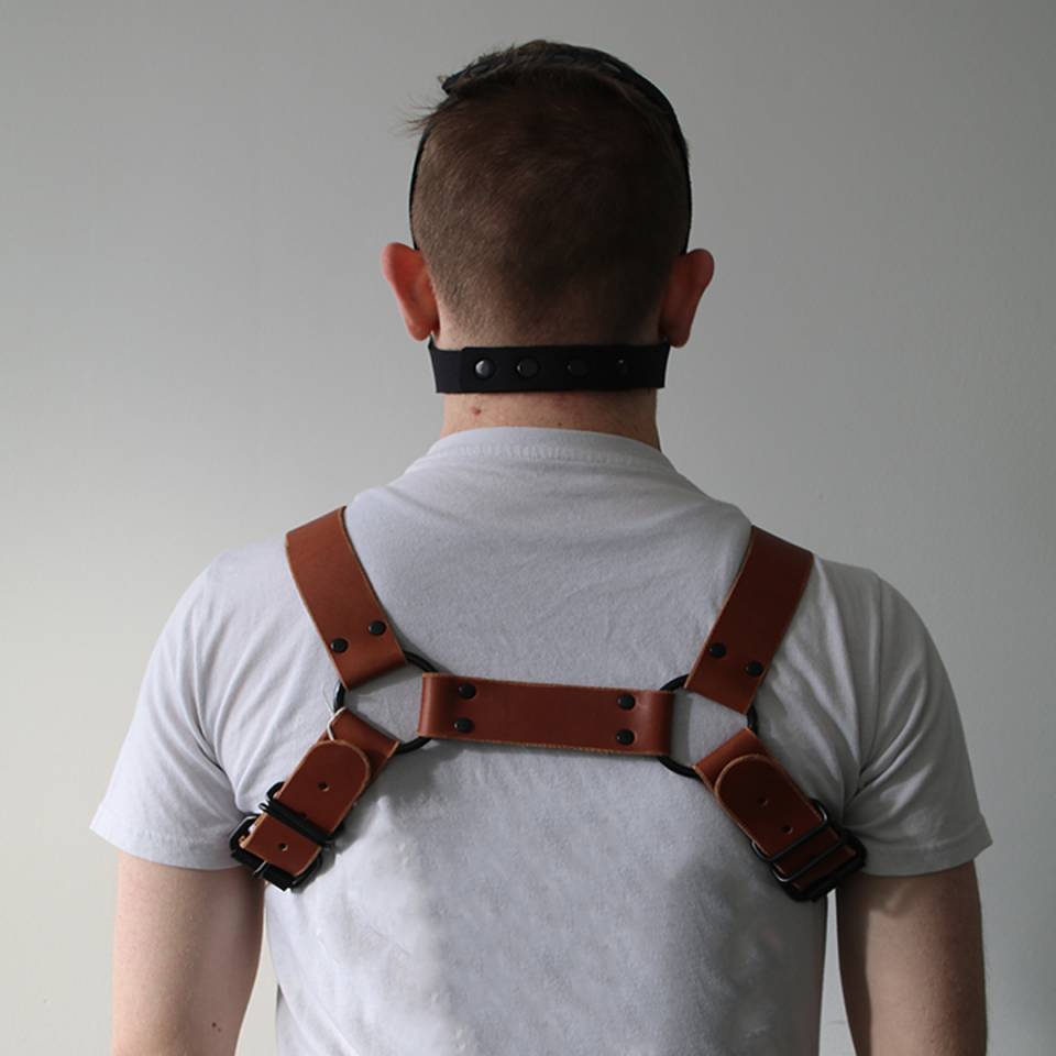 Bulldog Harness With Black Hardware