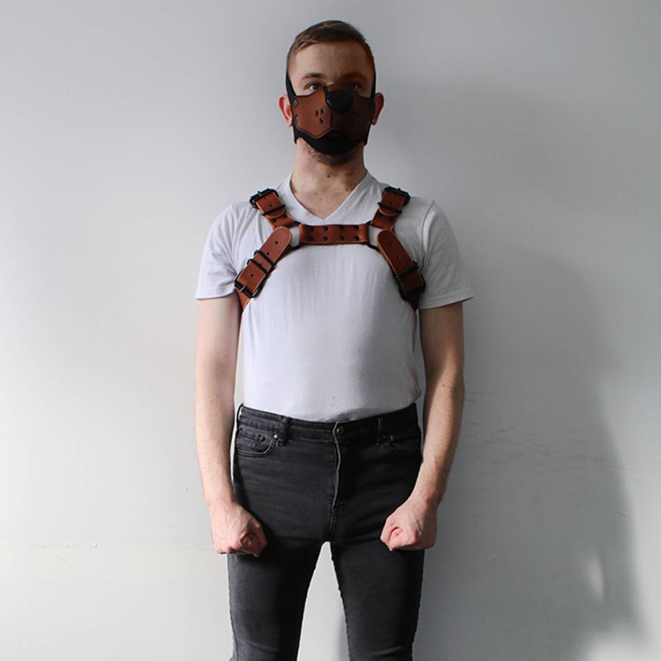 Bulldog Harness With Black Hardware