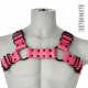 Bulldog Harness With Black Hardware