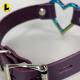 Rainbow Heart Collars