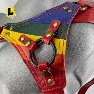 LGBT Pride Strap On Harness