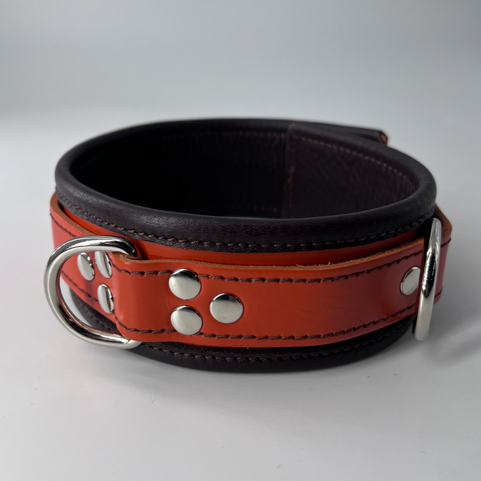Deluxe 2-Tone Locking Collar [D-Ring]