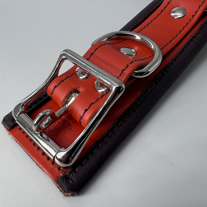 Deluxe 2-Tone Locking Collar [D-Ring]