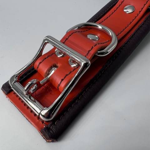 Deluxe 2-Tone Locking Collar [D-Ring]