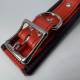 Deluxe 2-Tone Locking Collar [D-Ring]