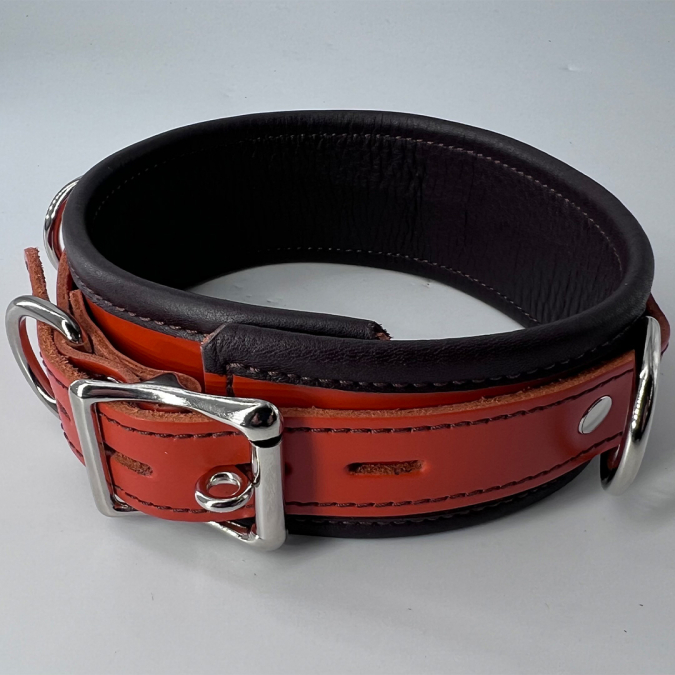 Deluxe 2-Tone Locking Collar [D-Ring]