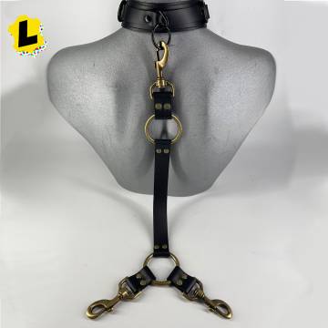 Leather Shackle