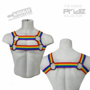Rainbow Apollo Elastic Harness