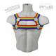 Rainbow Apollo Elastic Harness