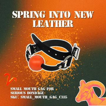 Small Mouth Gag For Serious Bondage