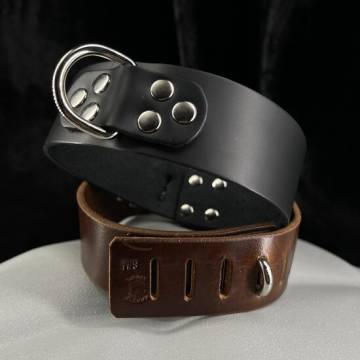 Simple Hasp Collar
