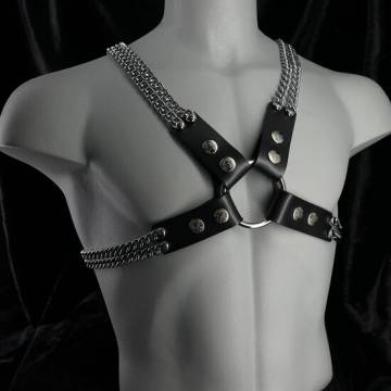Chain And Chain Harness