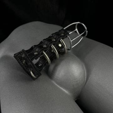 Three Ring Chasity Cage