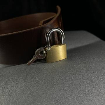 Small Dull Brass Colored Lock