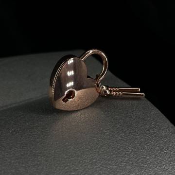 Heart Shaped Lock