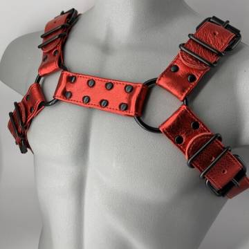 Metallic Bulldog Harness