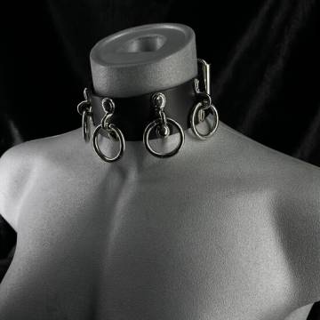 Black Leather Hooks & Ring Collar