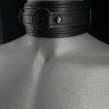 Leather Collar with Locking Buckle